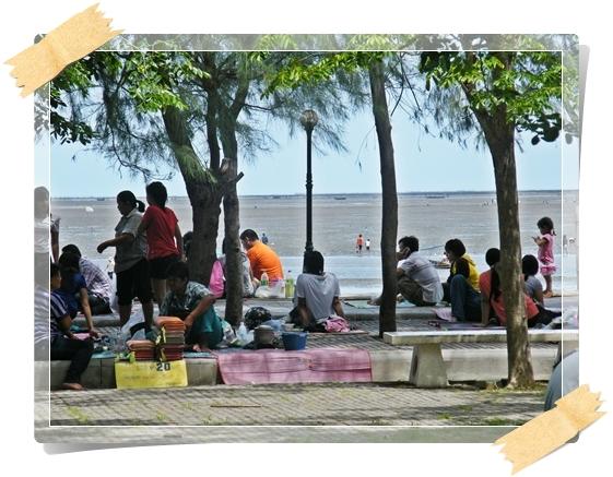 อัมพวา-ดอนหอยหลอด